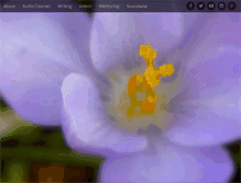 Tablet Screenshot of natashache.com